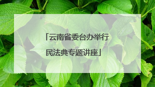 云南省委台办举行民法典专题讲座